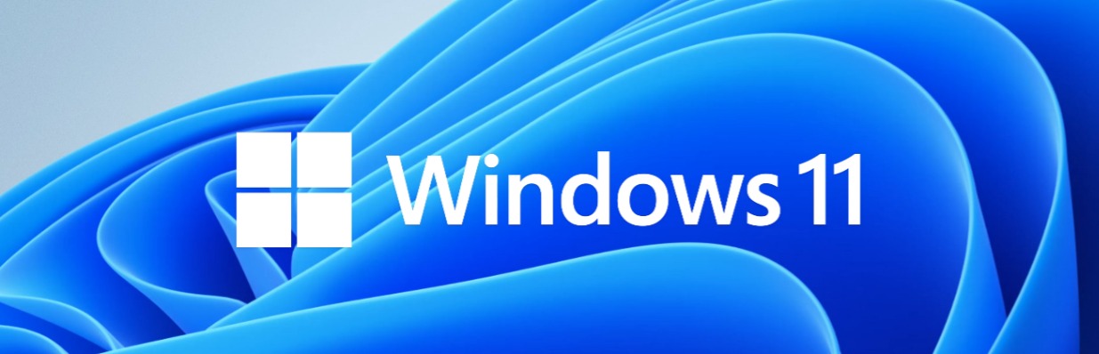 Windows 11